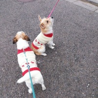 モネちゃん ロアちゃん