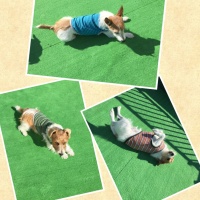 Processed with Moldiv