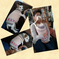 Processed with MOLDIV