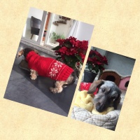 Processed with MOLDIV