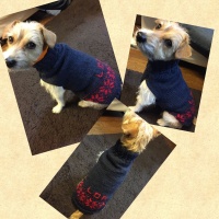 Processed with MOLDIV