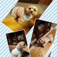 Processed with MOLDIV