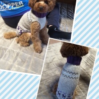 Processed with MOLDIV