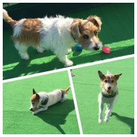 Processed with MOLDIV