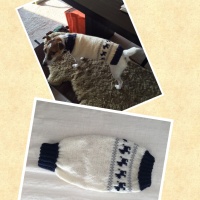 Processed with MOLDIV