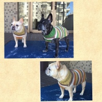 Processed with MOLDIV