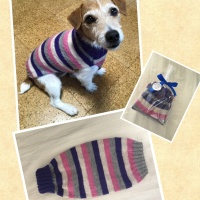 Processed with MOLDIV