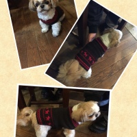 Processed with MOLDIV