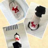 Processed with MOLDIV