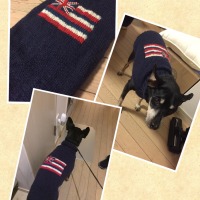 Processed with MOLDIV