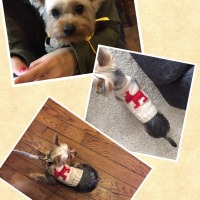 Processed with MOLDIV