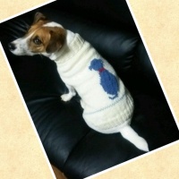 Processed with MOLDIV