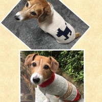 Processed with MOLDIV