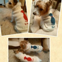 Processed with MOLDIV