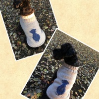 Processed with MOLDIV