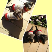 Processed with MOLDIV