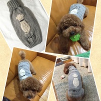 Processed with MOLDIV