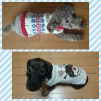 Processed with MOLDIV