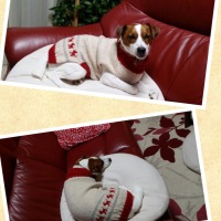 Processed with MOLDIV