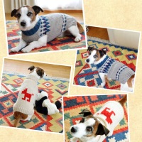 Processed with MOLDIV