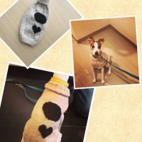 Processed with MOLDIV