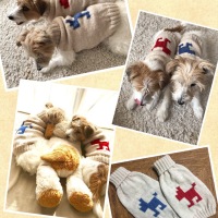 Processed with MOLDIV