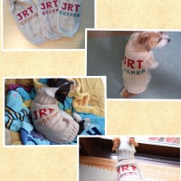 Processed with MOLDIV