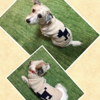 Processed with MOLDIV