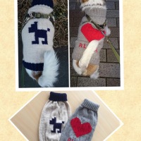 Processed with MOLDIV