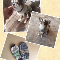 Processed with MOLDIV