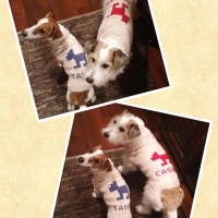 Processed with MOLDIV