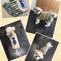 Processed with MOLDIV