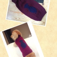 Processed with MOLDIV