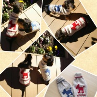 Processed with MOLDIV