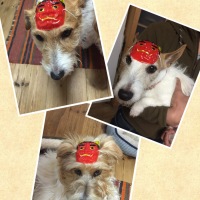 Processed with MOLDIV