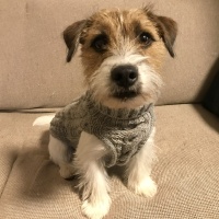 00E89CBF-1864-4E7F-AB60-0D0F975F7C25