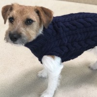 028F794F-4FE8-46E3-883E-3CF7D8F4B161