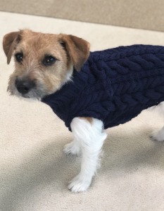 028F794F-4FE8-46E3-883E-3CF7D8F4B161