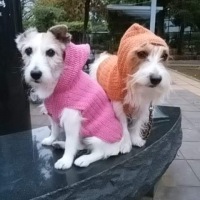 2BF76D9A-B3C0-4197-9501-9353E48AF288