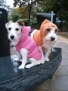 2BF76D9A-B3C0-4197-9501-9353E48AF288