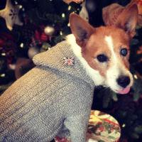 2C539A5B-1CC8-4A60-A316-83ADB14BC3E2