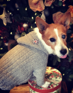 2C539A5B-1CC8-4A60-A316-83ADB14BC3E2