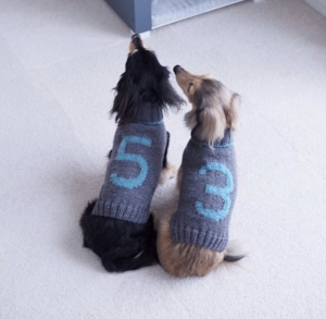 2F445DF4-EB76-4BB8-92E3-811A52B76A1A