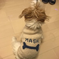 4285D577-1B55-48A9-BFFB-3B0EB4ABC071