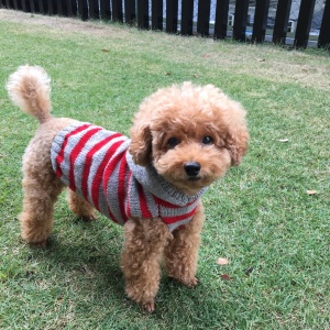 4789ACA2-63FC-4F2F-880E-75D991F59C22