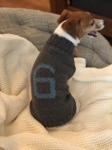 6F68B93F-3880-4955-AF4D-5487FC397DE9