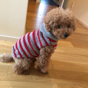 7614DA23-83F3-4AB4-88D8-396EC4521FF9