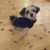 83999BD0-1005-47E8-A770-2A430A0C837A