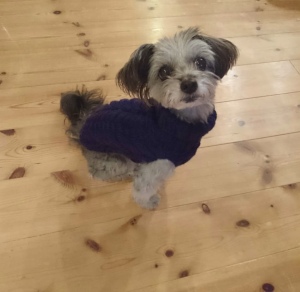 83999BD0-1005-47E8-A770-2A430A0C837A