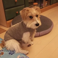 887008A9-C37A-4657-A1DE-ED59BA969C76